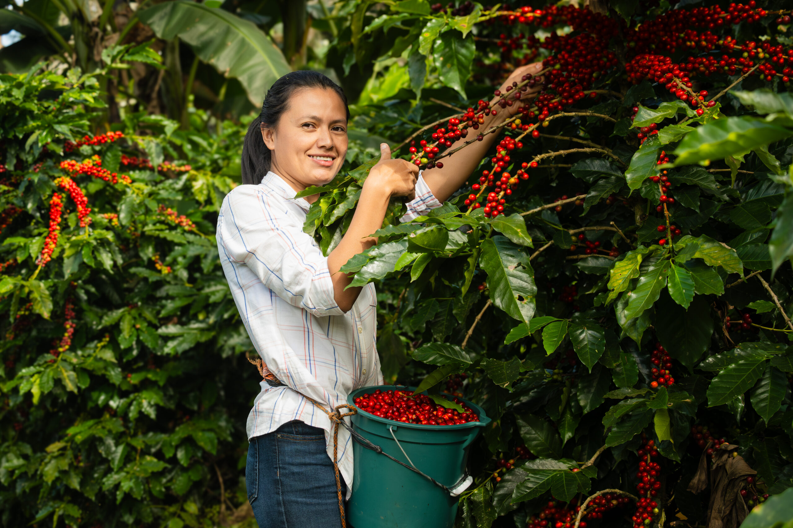 Presencia Internacional